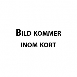 Bultpistol Hilti DX460